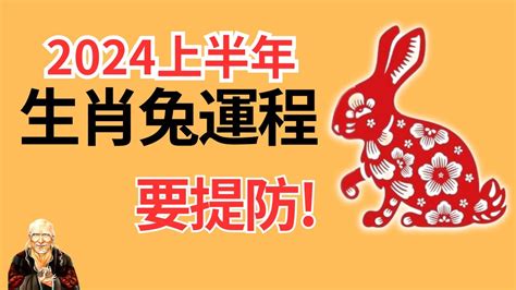 兔2024年运程|属兔人2024年整体运势及运程 2024年属兔人的全年运。